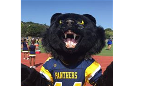 Panther Pete